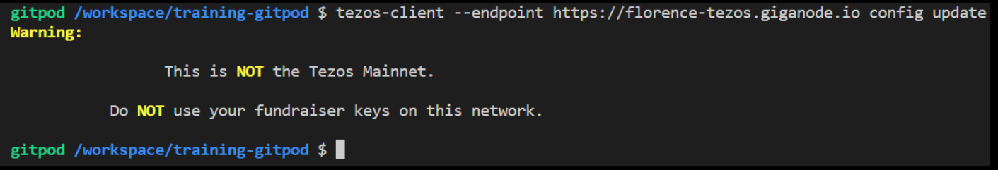 Mavryk CLI, setting the endpoint